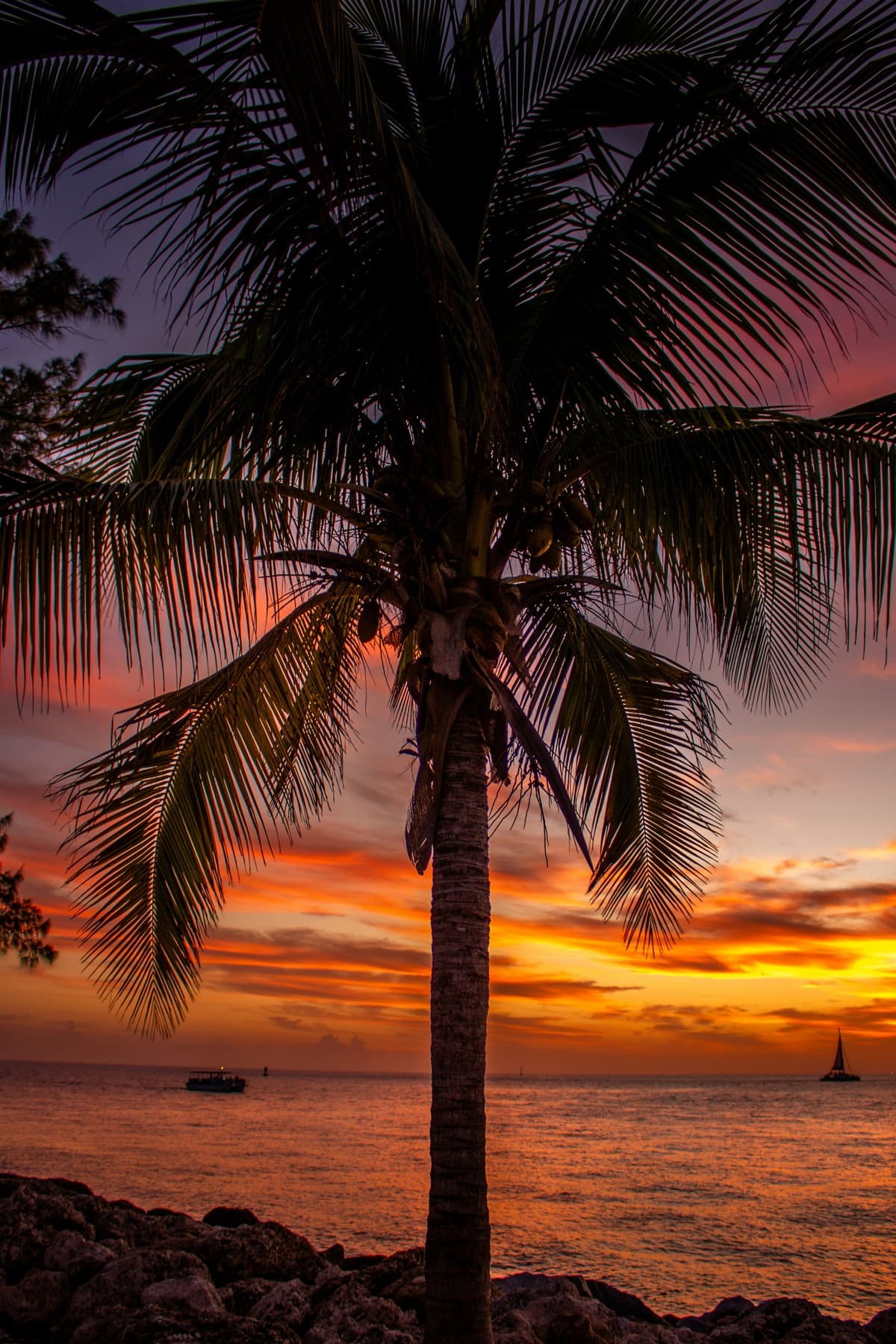 Beach hammock on a deserted island