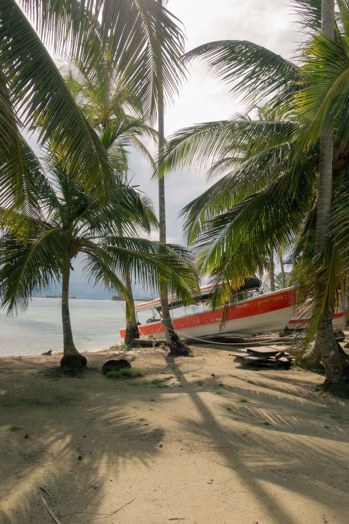 Palm-fringed island in San Blas