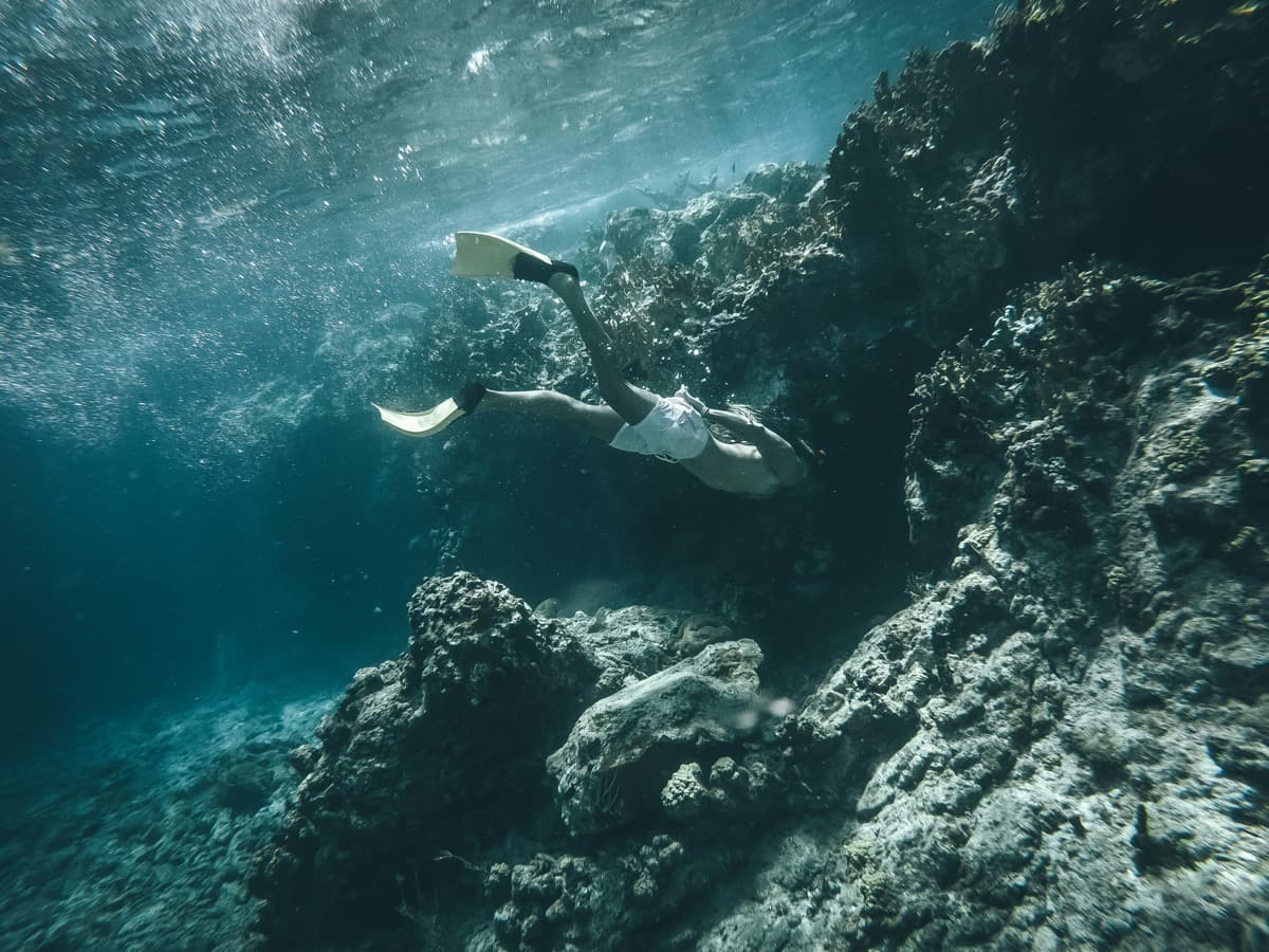 Snorkeling adventure in San Blas waters