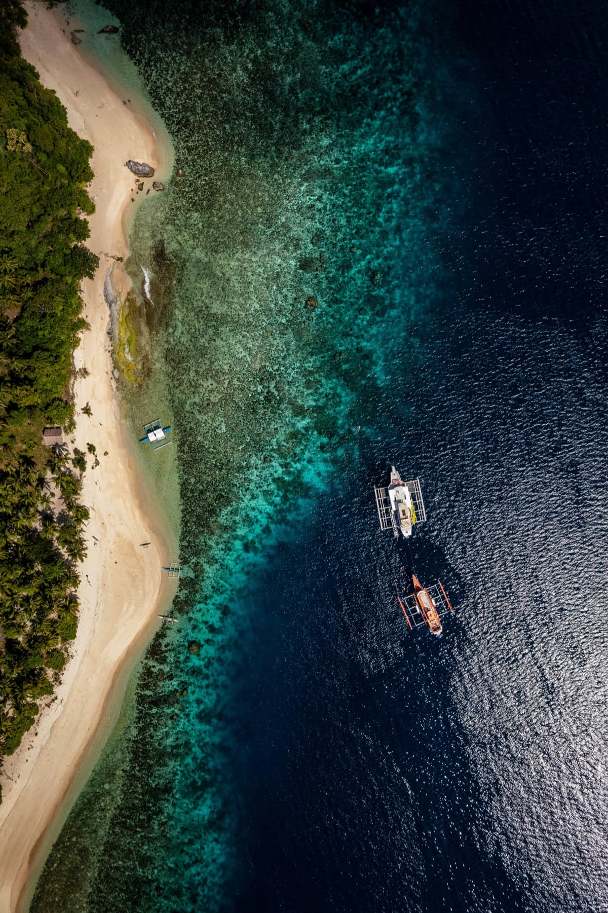 Underwater coral reef in San Blas